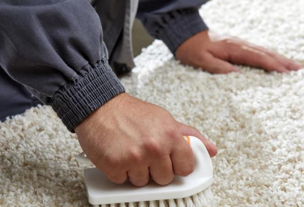 How Do You Clean A Wool Carpet? Simple Deployment Steps